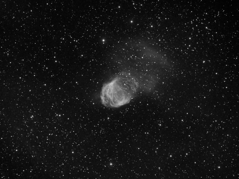 SH2-274 (MEDUSA NEBULA)